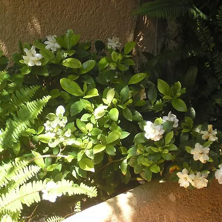 Ferienhaus Hills Casablanca 23